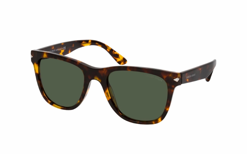 Giorgio Armani AR 8133 509273