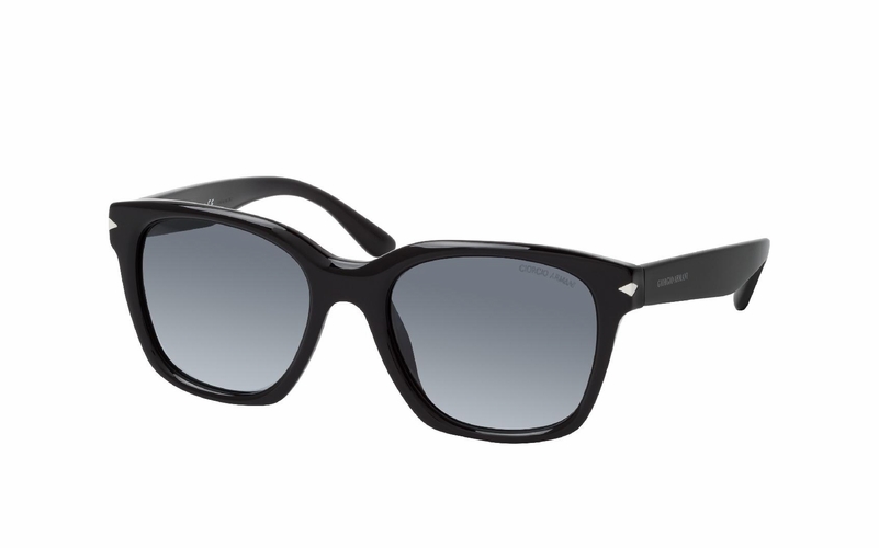 Giorgio Armani AR 8134 500111