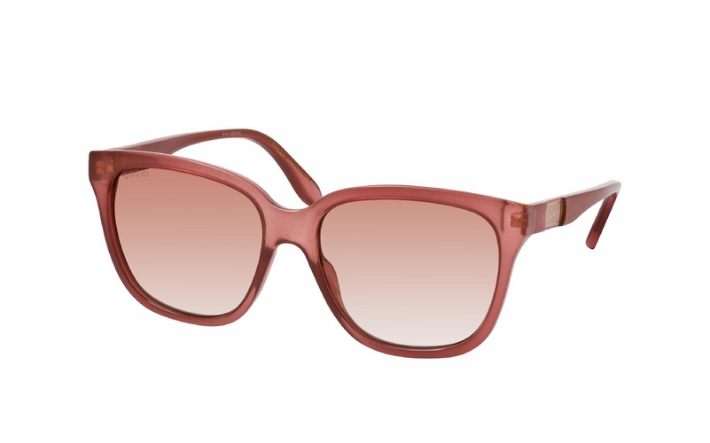 Gucci GG 0790S 004