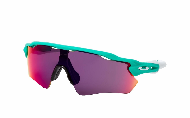 Oakley Radar EV Path OO 9208 C6