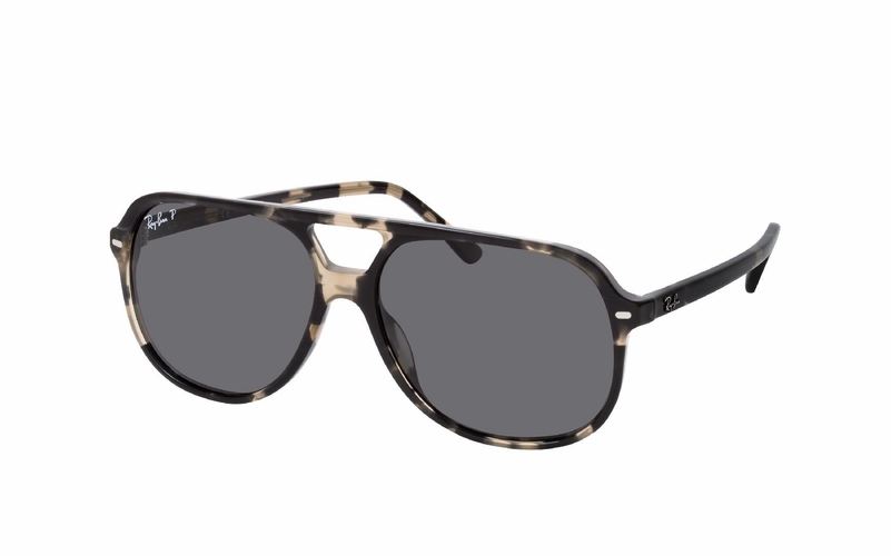 Ray-Ban Bill RB 2198 133348