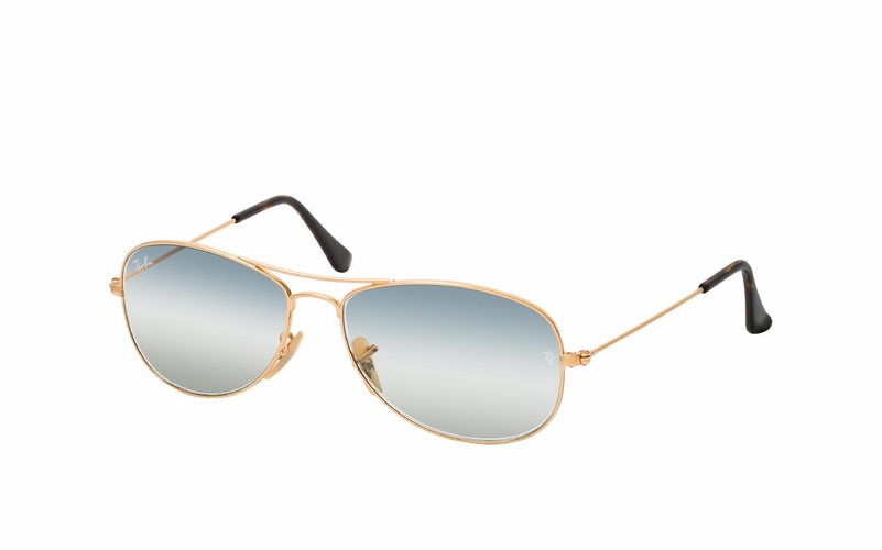 Ray-Ban COCKPIT RB 3362 001/GF S