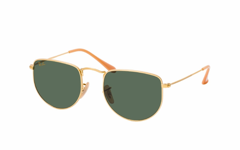 Ray-Ban Elon RB 3958 919631