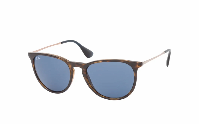 Ray-Ban Erika RB 4171 6390 Sunglasses - Brown / Gold