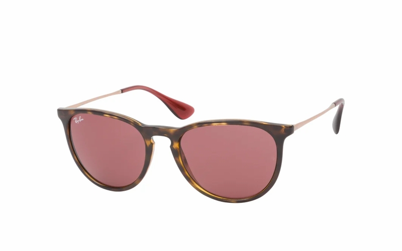 Ray-Ban Erika RB 4171 6391 Sunglasses - Havana / Gold