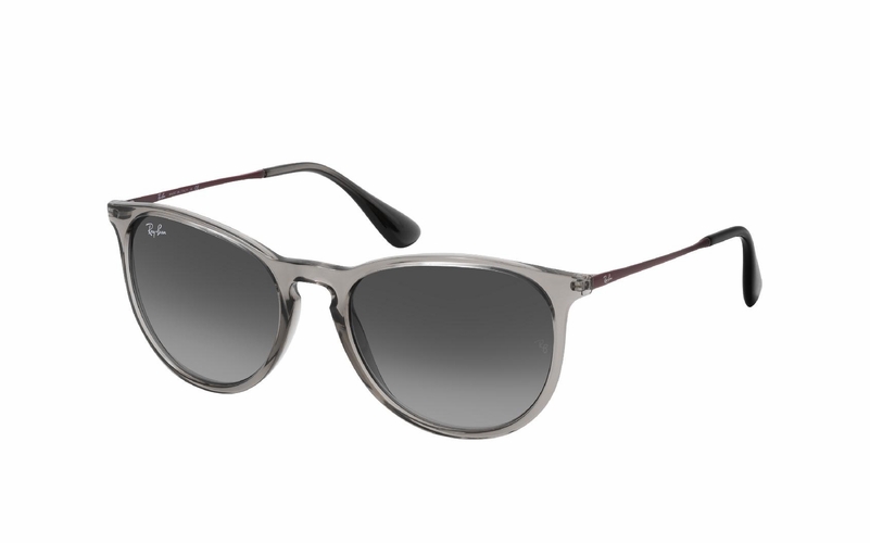 Ray-Ban Erika RB 4171 65138G