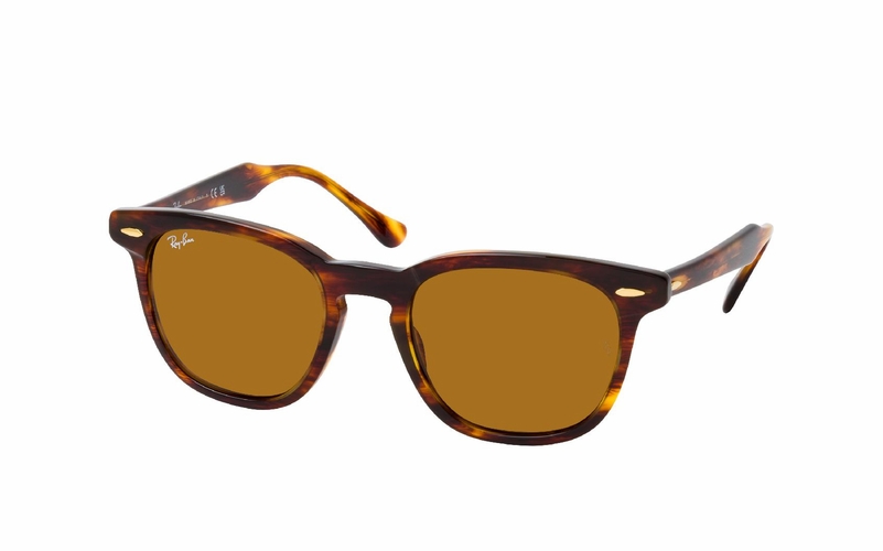 Ray-Ban HAWKEYE RB 2298 954/33