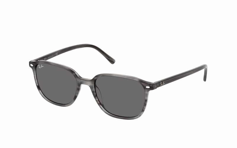 Ray-Ban Leonard RB 2193 1314B1