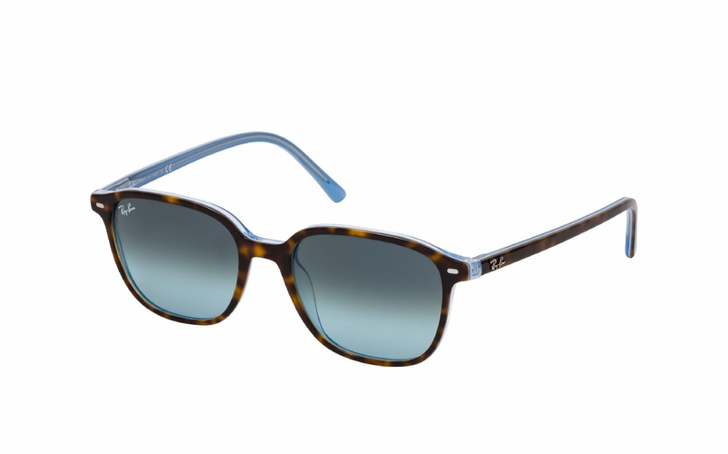 Ray-Ban Leonard RB 2193 13163M