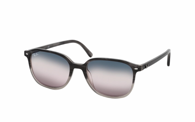 Ray-Ban Leonard RB 2193 1326GE