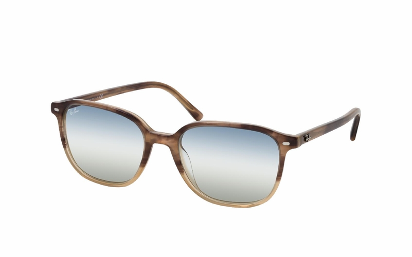 Ray-Ban Leonard RB 2193 1327GF
