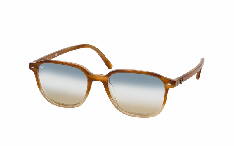 Ray-Ban Leonard RB 2193 1328GD small