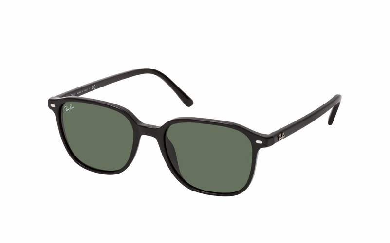 Ray-Ban Leonard RB 2193 901/31