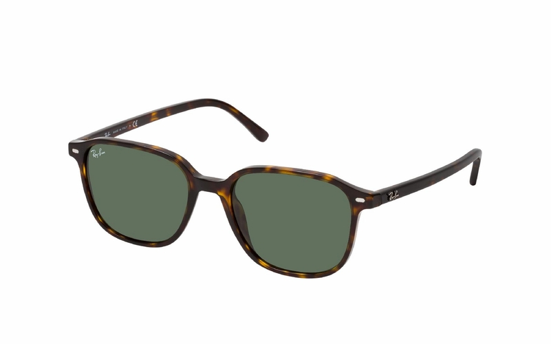 Ray-Ban Leonard RB 2193 902/31