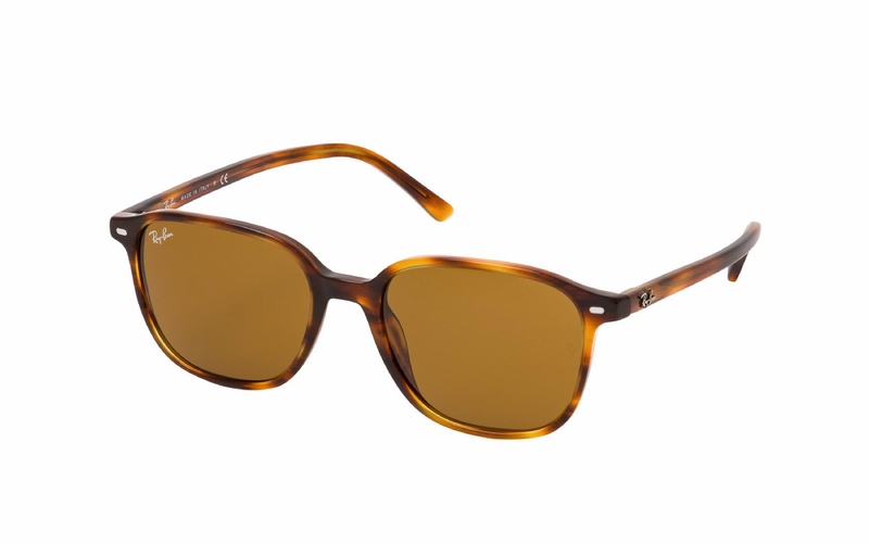 Ray-Ban Leonard RB 2193 954/33