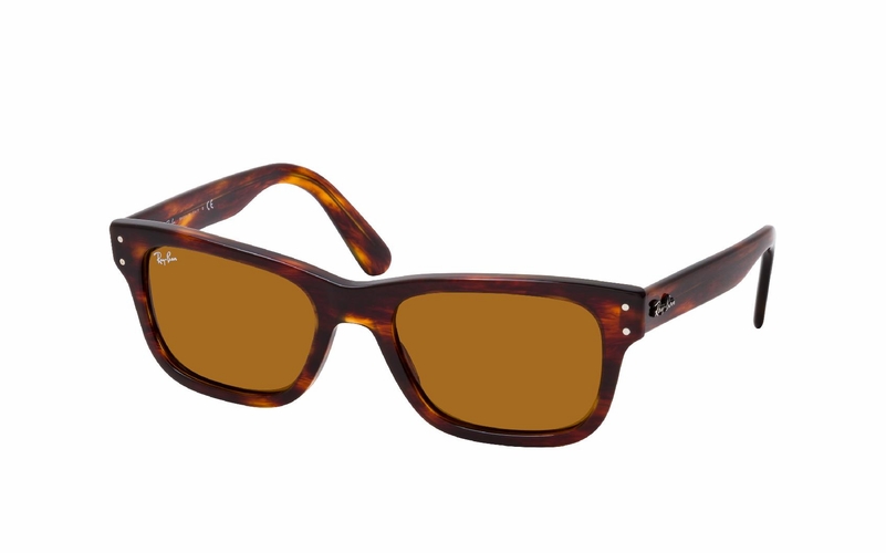 Ray-Ban Mr Burbank RB 2283 954/33