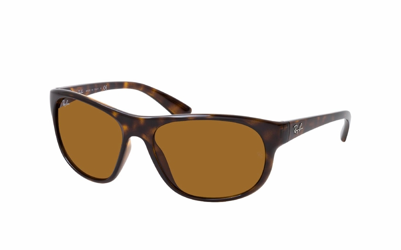 Ray-Ban RB 4351 710/73