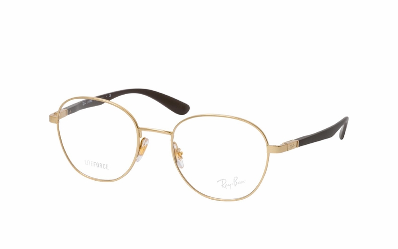 Ray-Ban RX 6461 2500