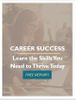 Career Success Career Success