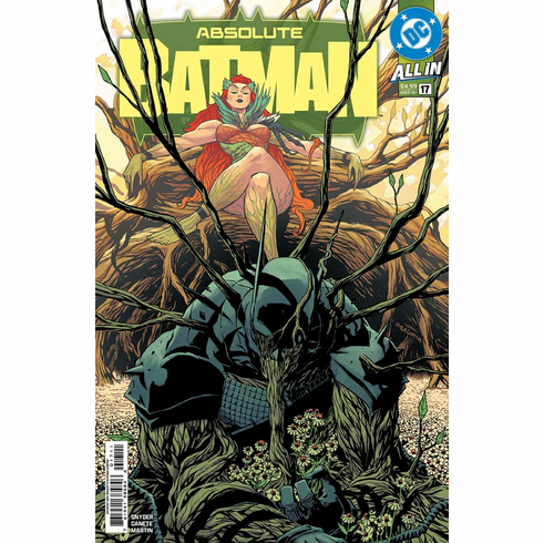 Absolute: Batman # 17