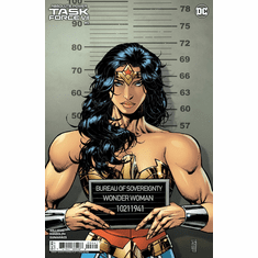 Absolute Power: Task Force VII # 6 (Variant)