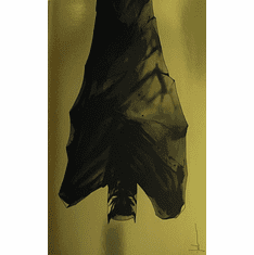 Batman # 126 (Incentive Foil Variant)