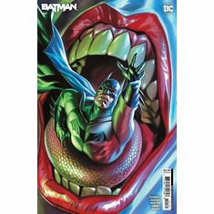 Batman # 141 (Variant)