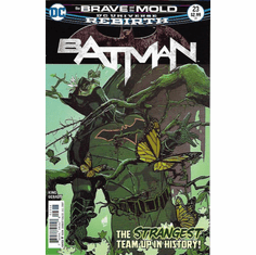 Batman # 23