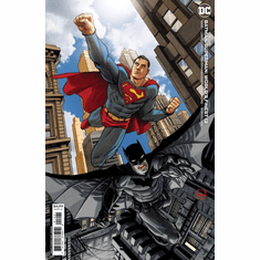 Batman / Superman: World's Finest # 12 (Variant)