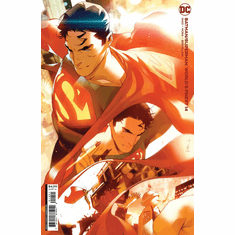 Batman / Superman: World's Finest # 14 (Variant)