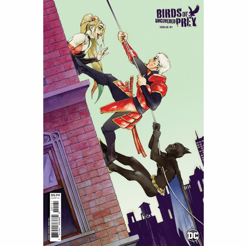 Birds Of Prey: Uncovered # 1 (Variant)
