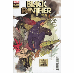 Black Panther # 12 (Variant)