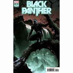 Black Panther # 3 / 200 (Variant)