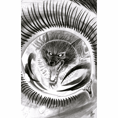 Bloodborne: The Lady Of The Lanterns # 1 (Incentive Variant)