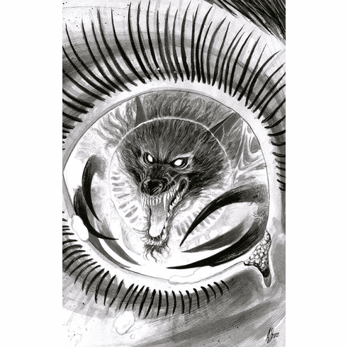 Bloodborne: The Lady Of The Lanterns # 1 (Incentive Variant)