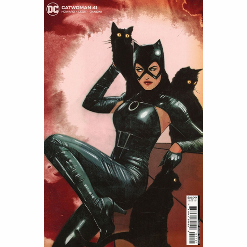 Catwoman # 41 (Variant)