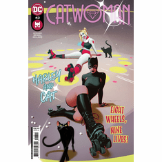 Catwoman # 43