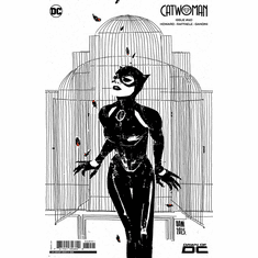 Catwoman # 60 (B&W Variant)