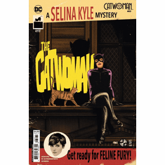 Catwoman # 63 (Variant)
