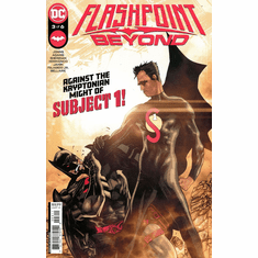 Flashpoint: Beyond # 3