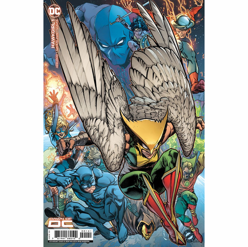 Hawkgirl # 1 (Variant)