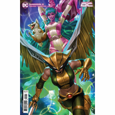 Hawkgirl # 2 (Variant)