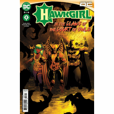 Hawkgirl # 3