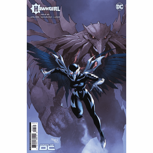 Hawkgirl # 5 (Incentive Variant)