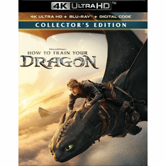 How To Train Your Dragon 