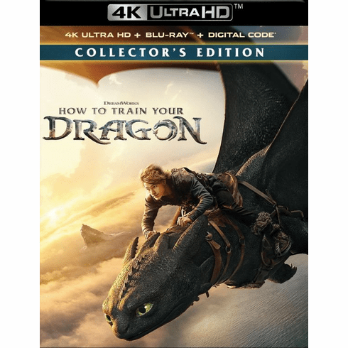 How To Train Your Dragon 