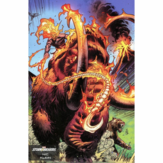 Miles Morales: Spider-Man # 24 (Stormbreakers Variant)