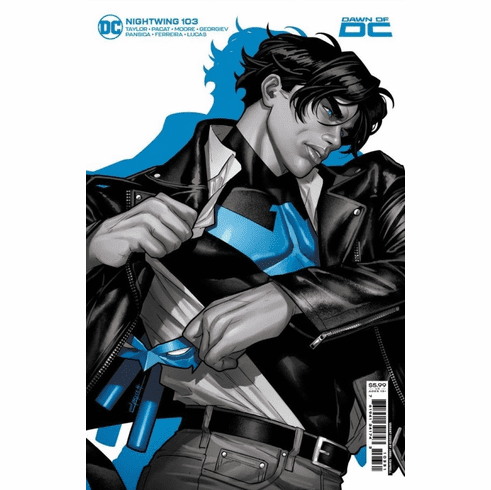 Nightwing # 103 (Variant)