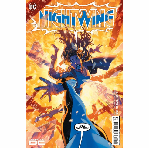Nightwing # 105 (Variant)