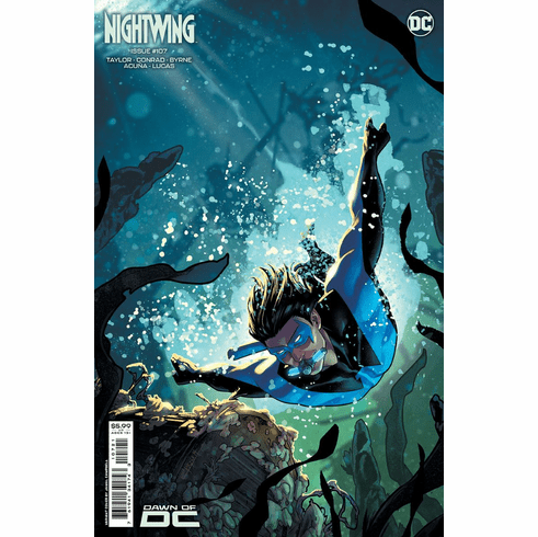 Nightwing # 107 (Variant)